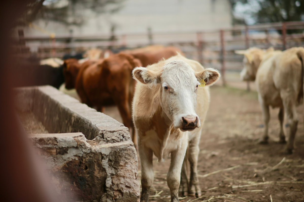 CNCDurango tweet media