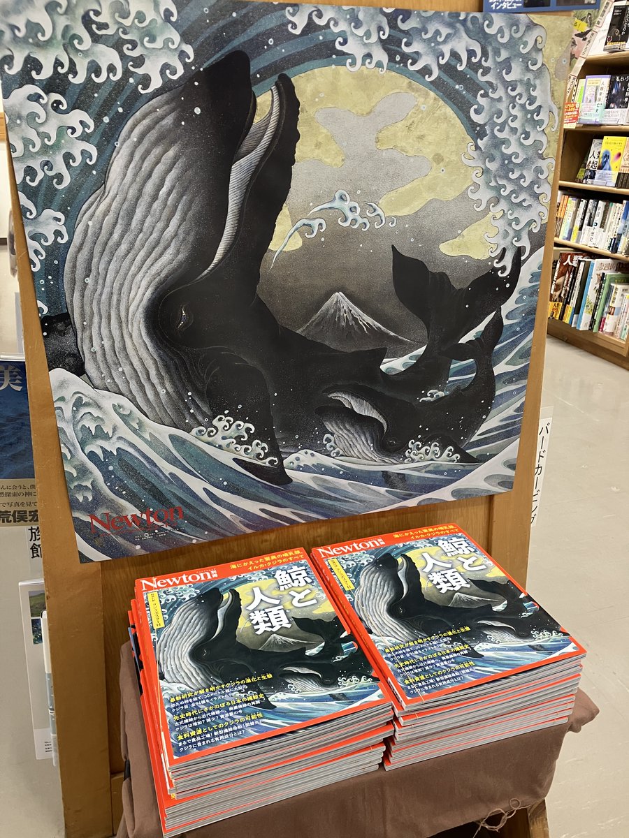 【新刊入荷】
『Newton別冊　鯨と人類』（ニュートンプレス）

鯨の進化と生態から、人との関わり、日本での捕鯨史まで。進化の過程で海から陸に上がり、海に帰った興味深い哺乳類・鯨をまるごと1冊で！特別付録のポスター付き！
7F　サイエンス雑誌の棚にて展開中
maruzenjunkudo.co.jp/products/97843…