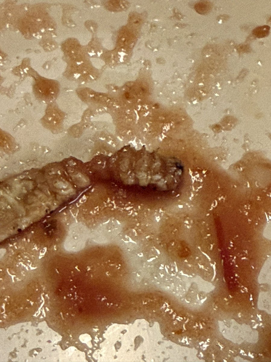 Kevin Murphy aka Ed The Ref tweet media