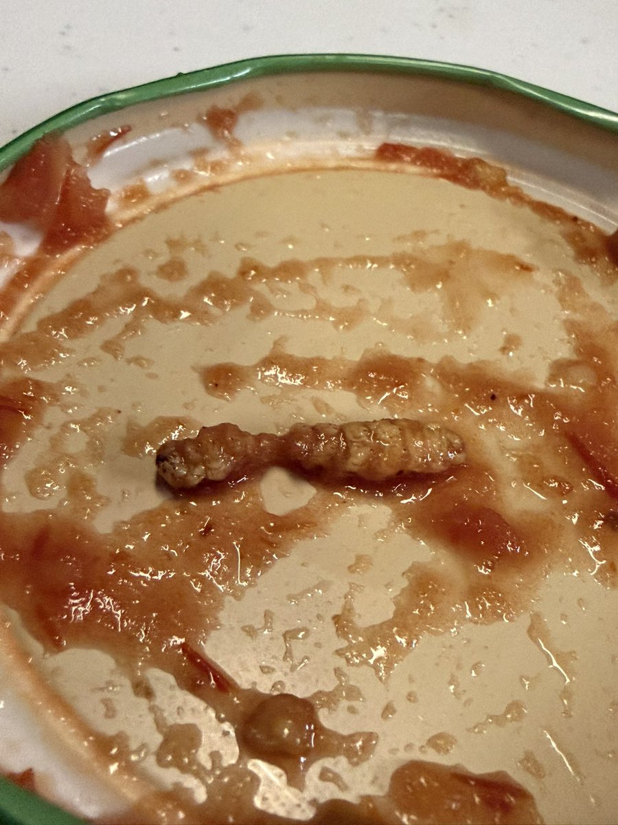 Kevin Murphy aka Ed The Ref tweet media