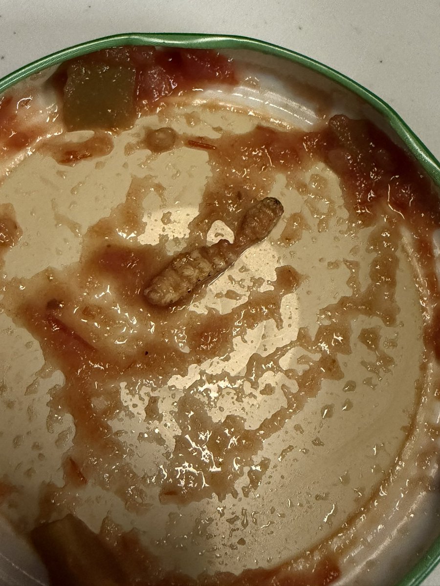 Kevin Murphy aka Ed The Ref tweet media