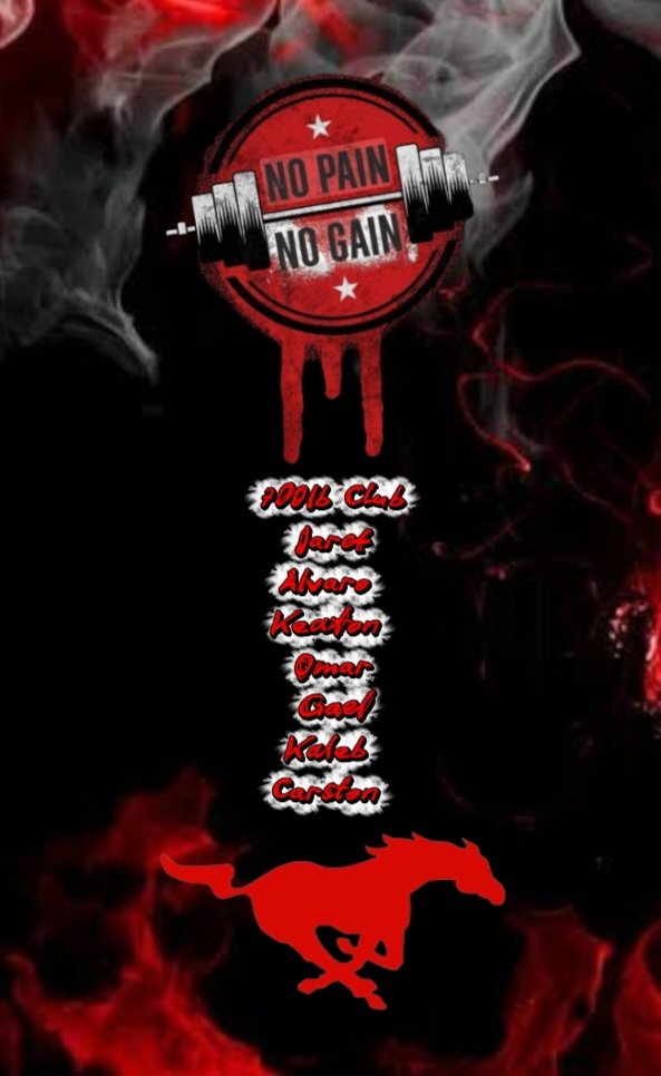 Hackerott Sport Training tweet media