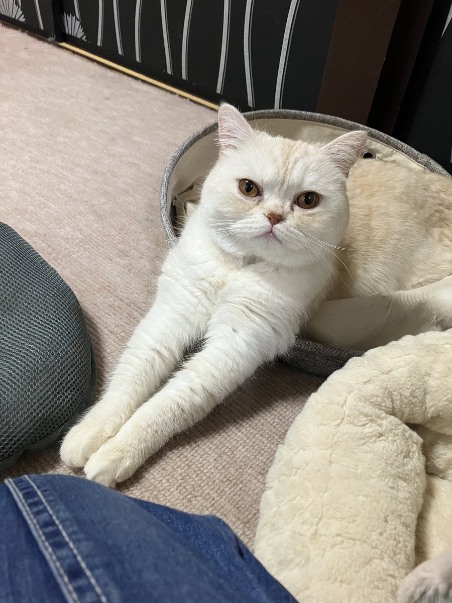 chokoo114's tweet photo. 毎度ありがとうございます
本日3/10は人出不足の為、コーヒー・紅茶等のドリンクメニューは提供できません
申し訳ありません https://t.co/qH6PXZ63y7