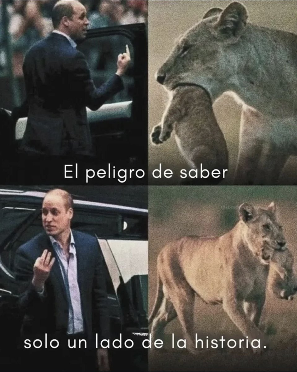 BANDIDOS (@bandidosfrasess) on Twitter photo 