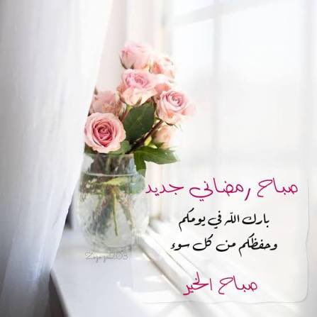 NASSERALGASSI's tweet photo. #٢٠رمضان

"اللهُم لا تجعل رمضان يمضي إلا وقد أعطيتَ
كُل منا مُراده، ورويت قلوبنا بفيض كرمك،
وحققتَ لنا ما كُنا نظنهُ مُستحيلاً،
 اللهُم إنك عفو تحب العفو فأعفُ عنا" 🤲❤️
.
. 
.
#صباح_الخير_والسعادة https://t.co/mUUrZwu550