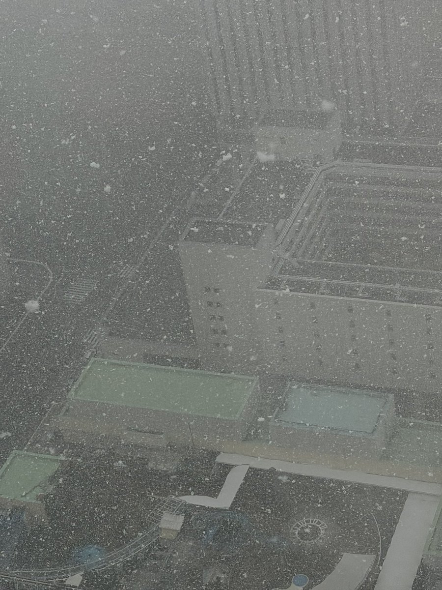 伝わるかなぁ？
東京都心の雪❄️
ひとつひとつがすごく大きい。
