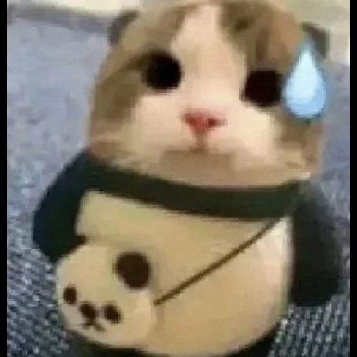 Dragonnn tweet media