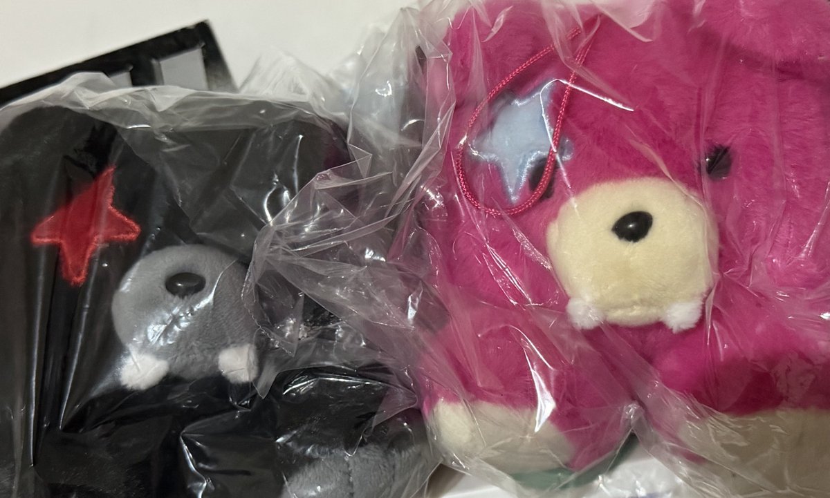 shionbuDOLL's tweet photo. wts lfb ph 

enhypen heeseung and jake keyring

- only unboxed them!
- 700 each
- payo only
- onhand and ready to ship
- with box !

prio taking both

# enhypen heeseung jake the sin vanish keyring plushie https://t.co/7VRY6lLpRQ