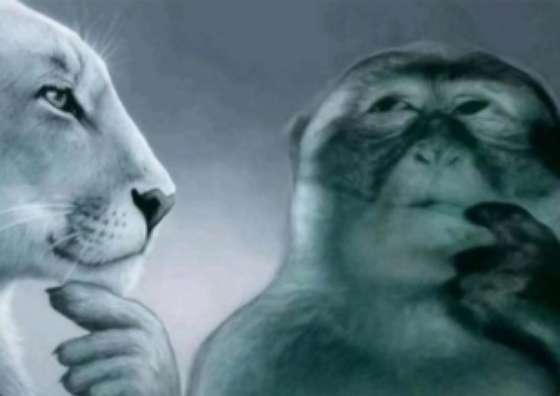 Badlander (@badlander__) on Twitter photo 