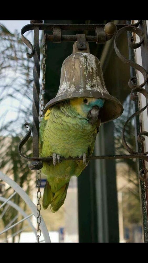 Wholesome 🌸 tweet media