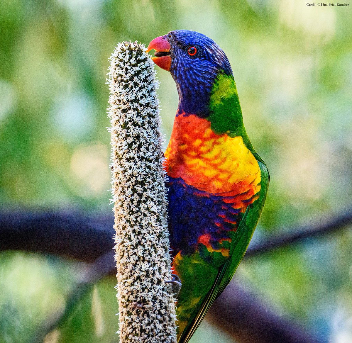 Science Magazine tweet media