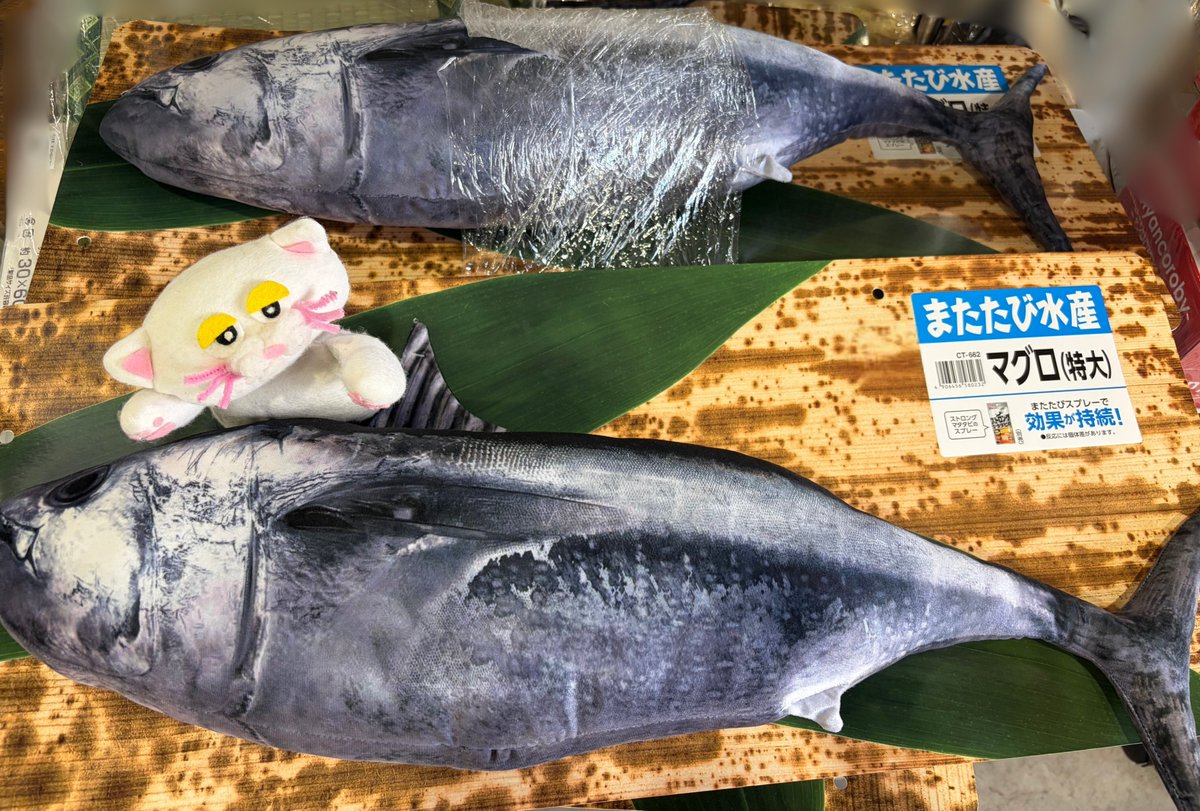 PETBOX オムとファムのふたりごと tweet media