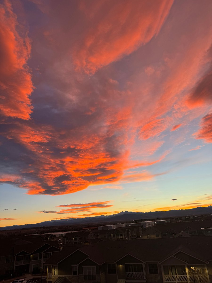 brian herring tweet media