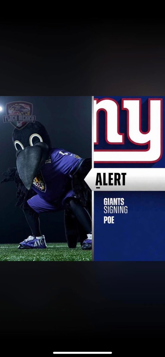 RavΞnShiΞld tweet media