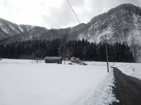 ハビタブル日本 (Habitable Japan) tweet media