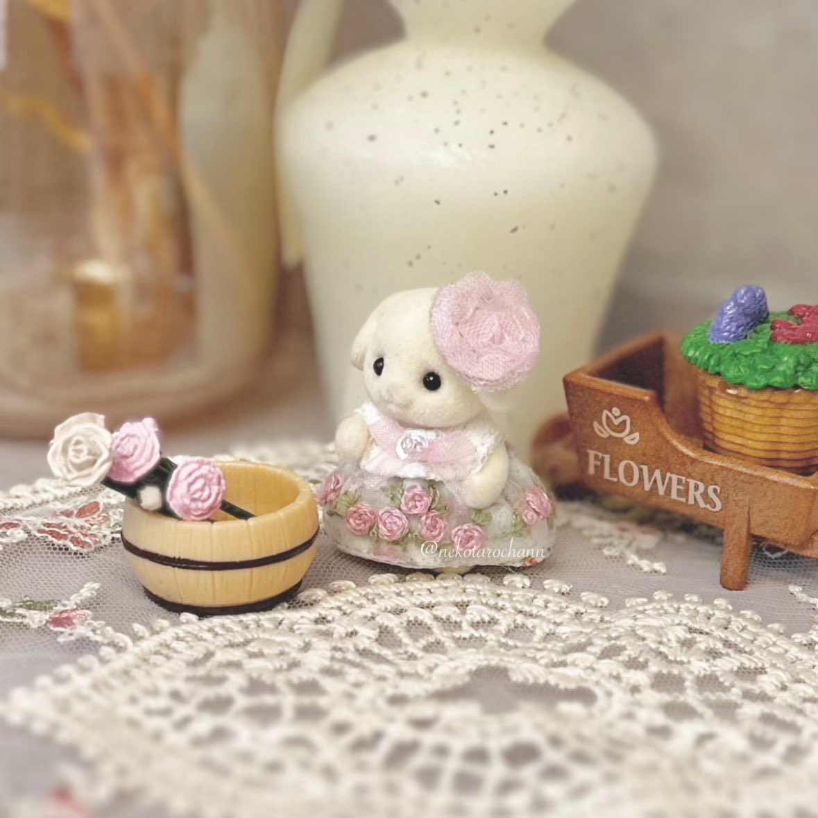 ねこたろちゃん🌿 tweet media