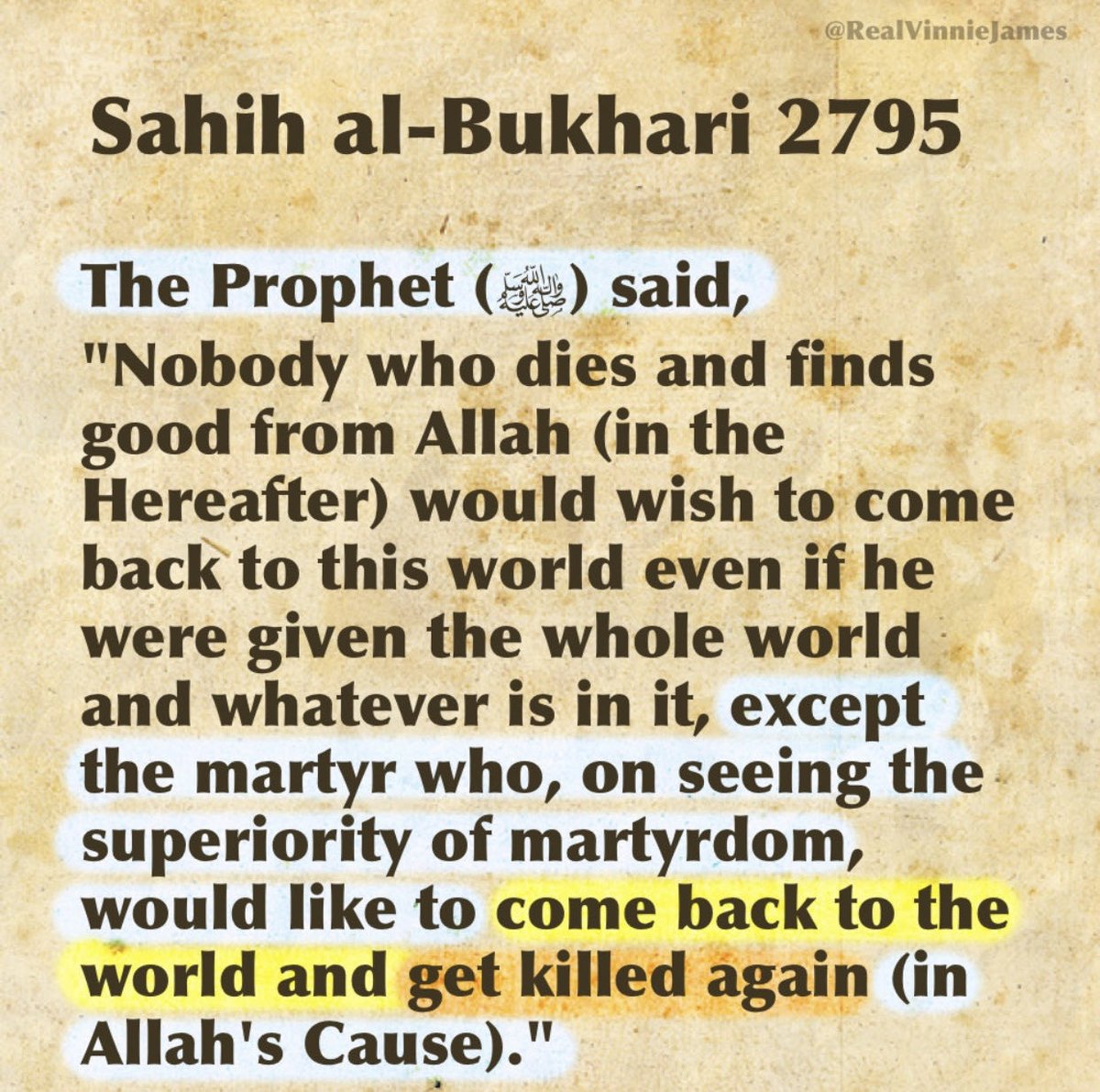 RealVinnieJames tweet media