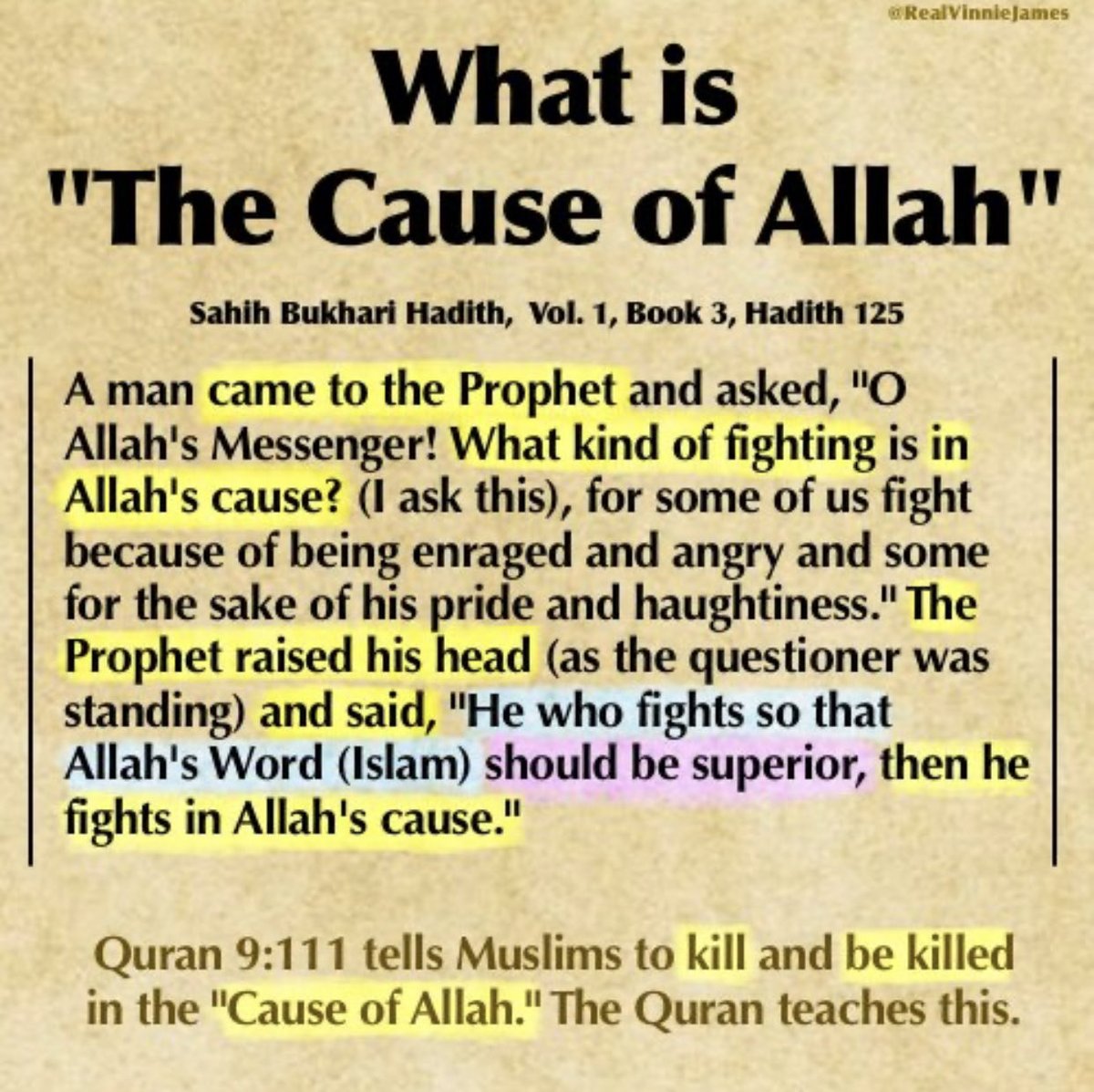 RealVinnieJames tweet media