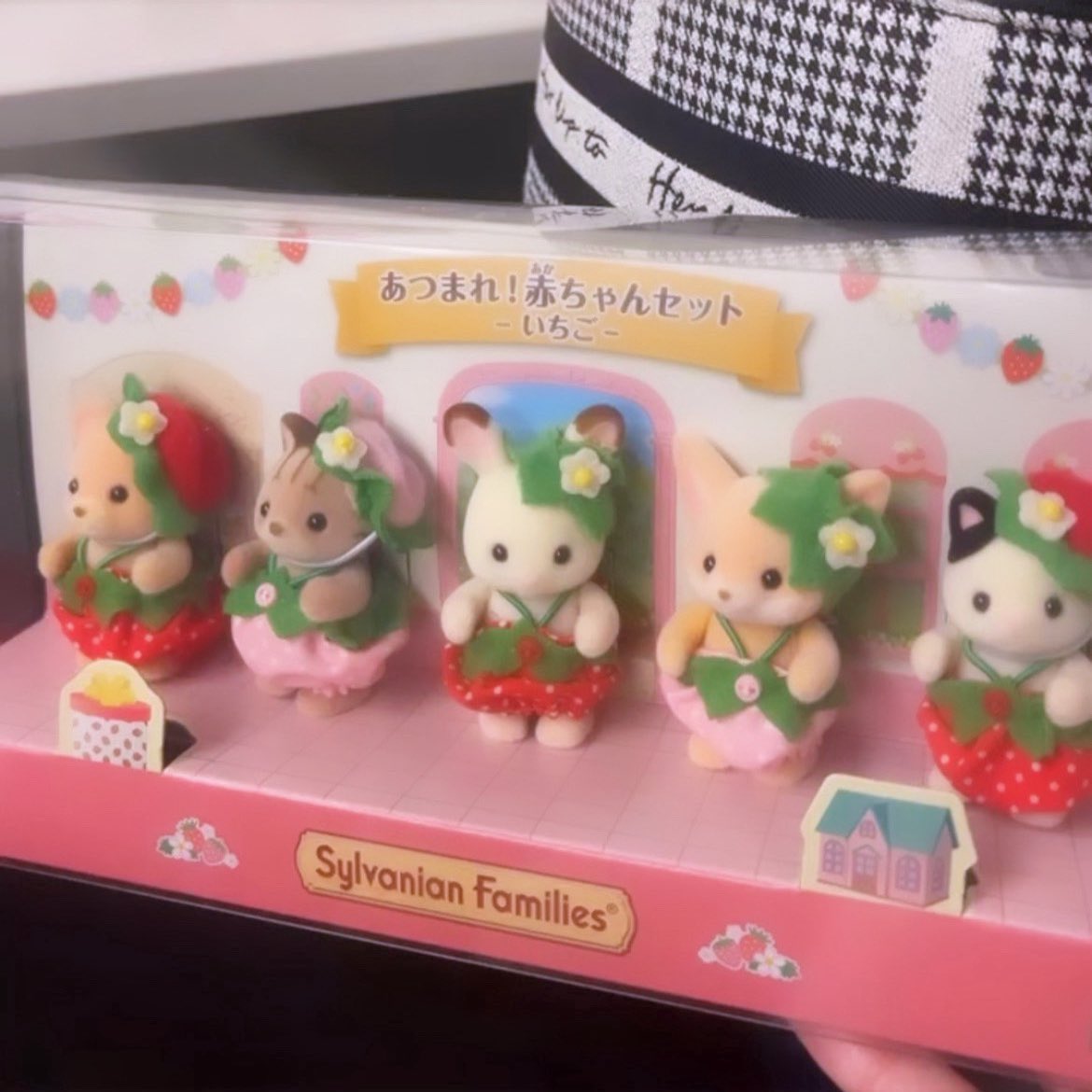 🐻‍❄️🍒 tweet media