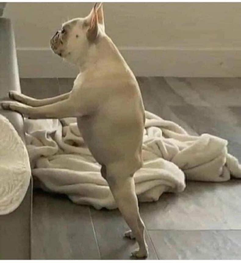 EdKarshner ☕ tweet media