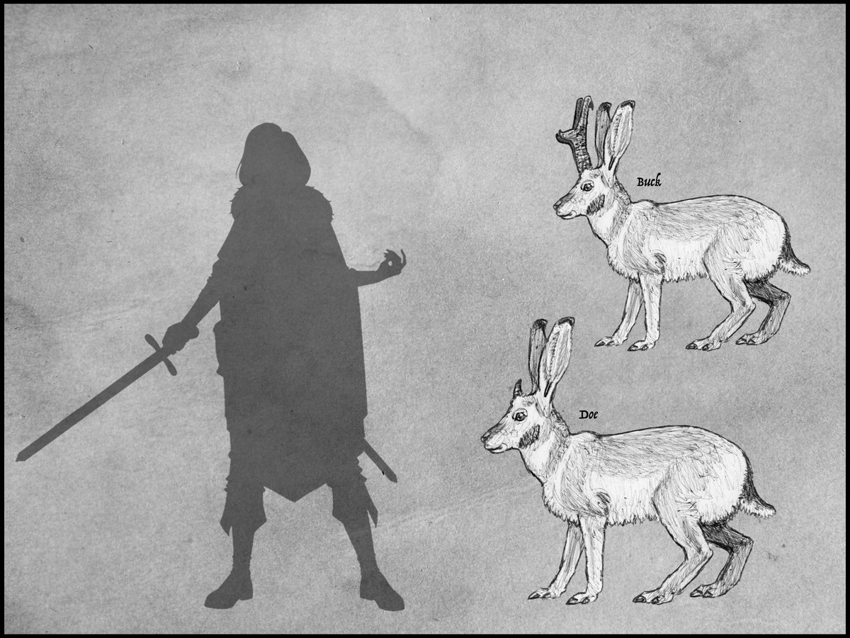 Spectra Warrior tweet media