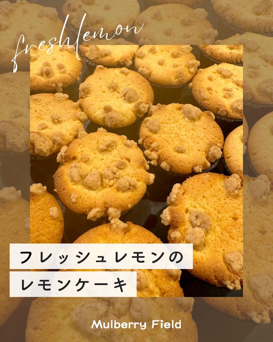 BookCafe マルベリーフィールド tweet media