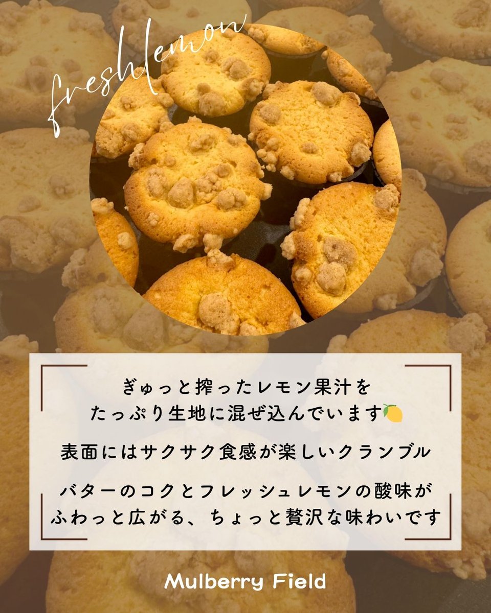 BookCafe マルベリーフィールド tweet media