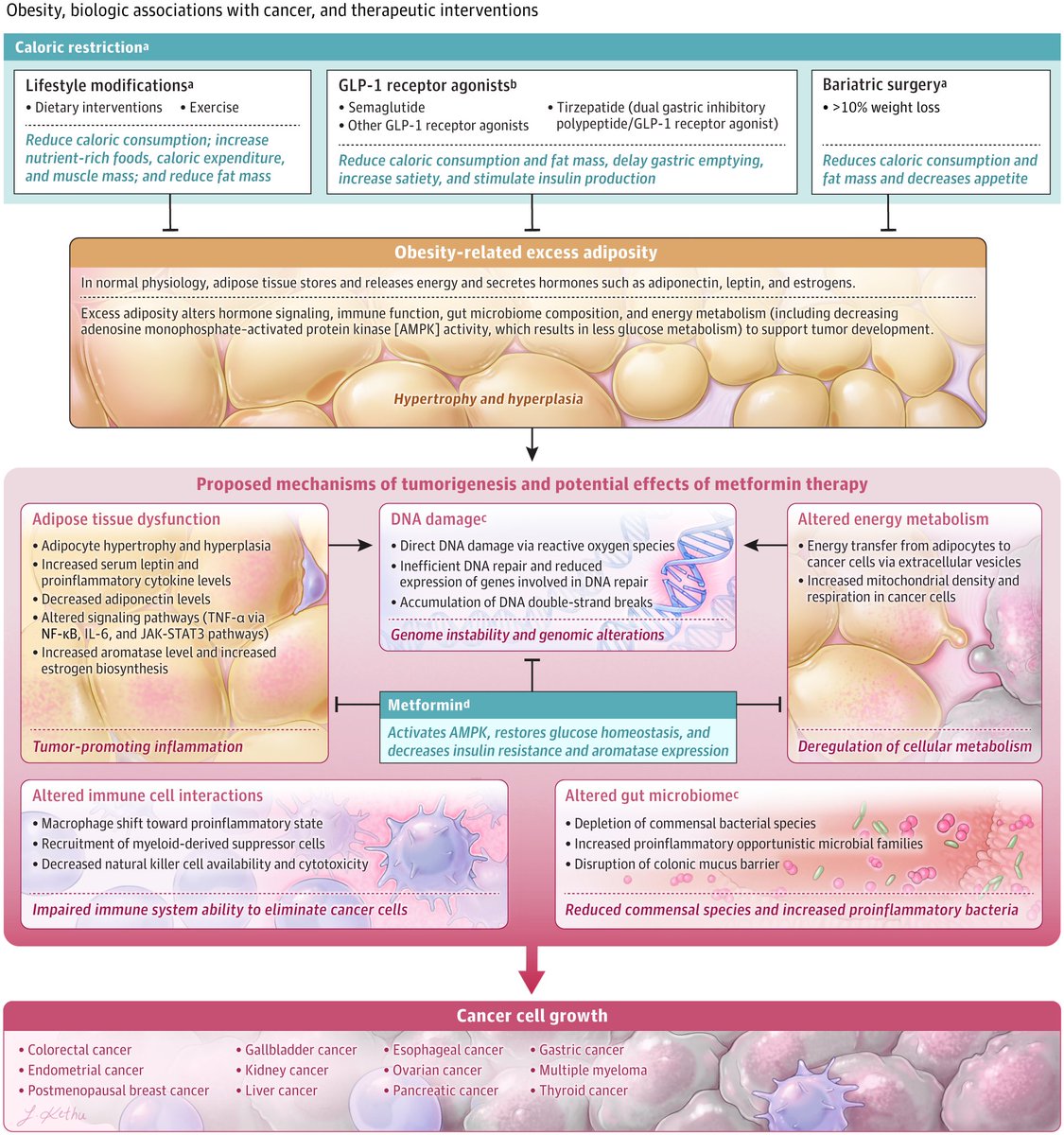 Oscar Tahuahua tweet media