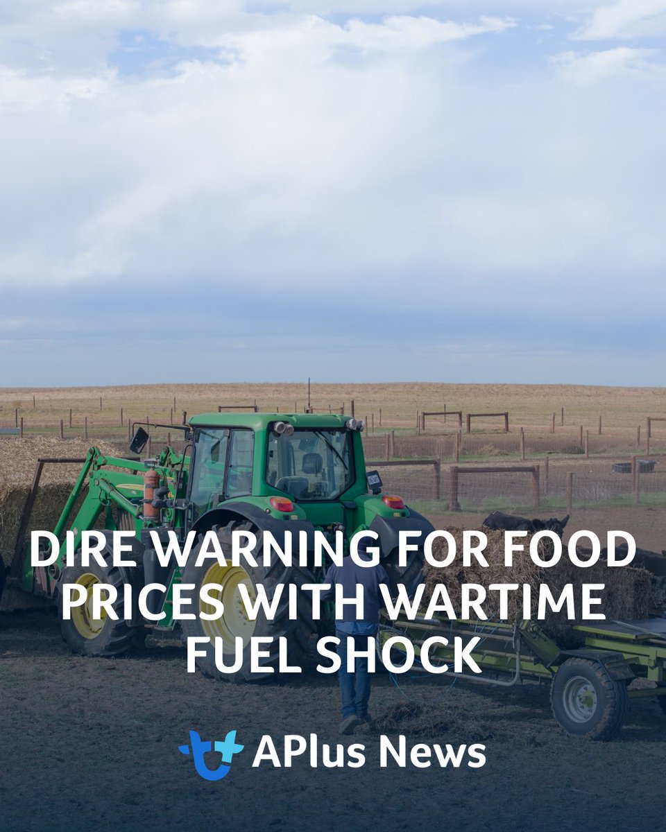 AuctionsPlus tweet media