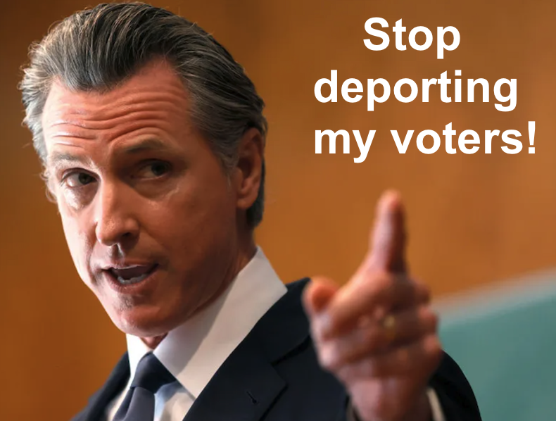 One Nation tweet media