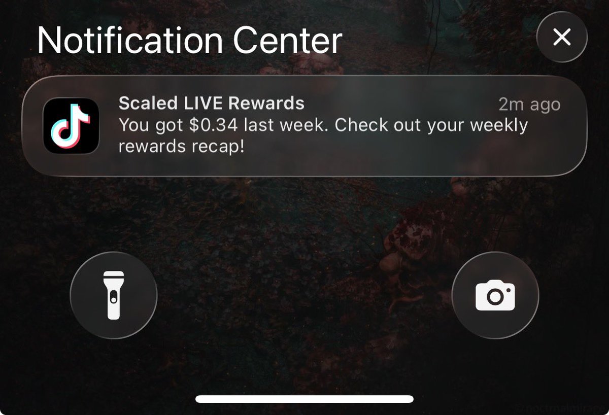 aurora marius tweet media