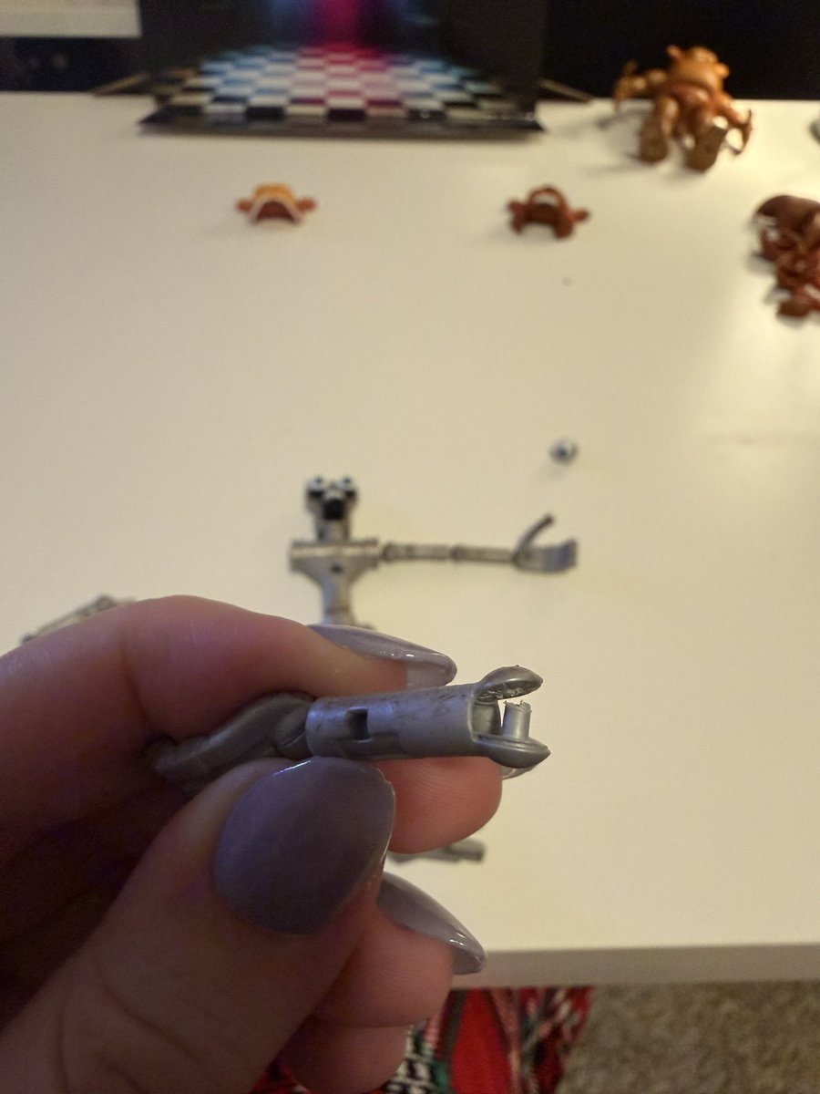 Kip 🐻 BIRTHDAY! tweet media