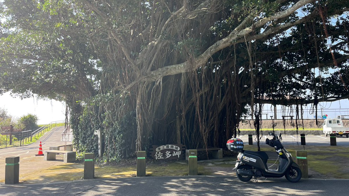 ちゃも tweet media