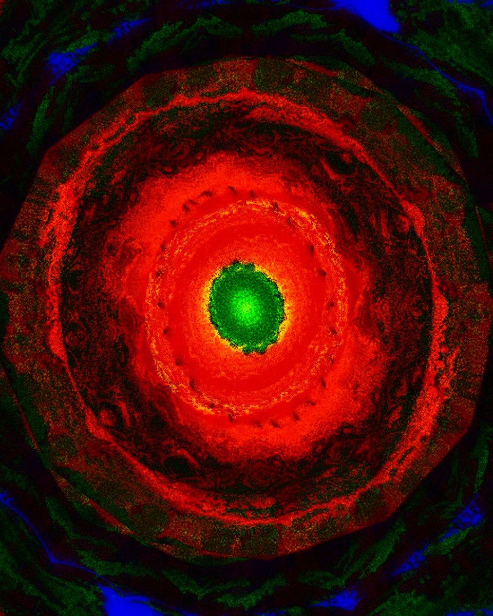 RoseKnapp_'s tweet image. Minimal HHaus Music by Rose Knapp 

music.apple.com/us/playlist/mm…

#electronicmusic #housemusic #minimalhouse #microhouse #djmix