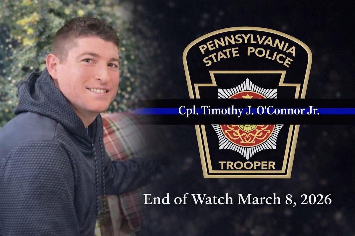 AtNight 𝐶𝑟𝑒𝑎𝑡𝑖𝑣𝑒 Intelligence tweet media