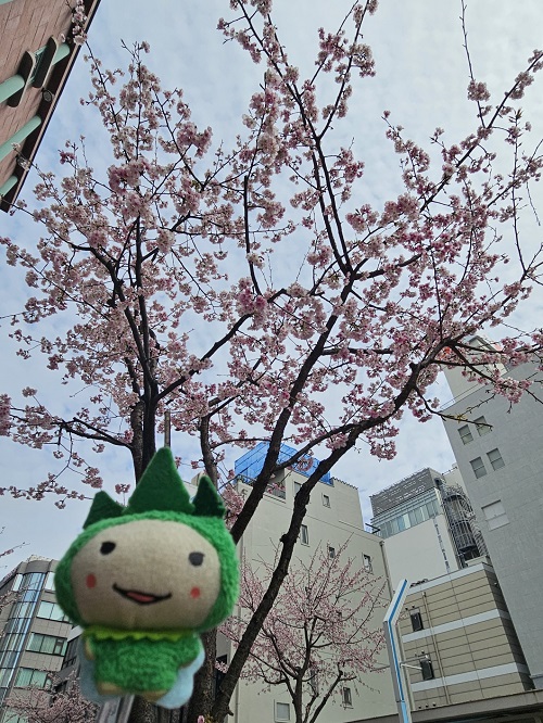 【公式】ダイナムゆったり館石川加賀店～Since.2009.8.6～ tweet media