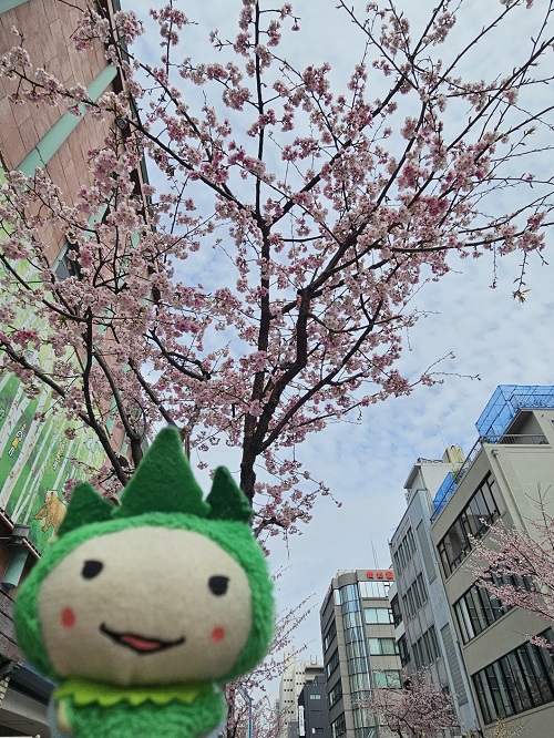 【公式】ダイナムゆったり館石川加賀店～Since.2009.8.6～ tweet media