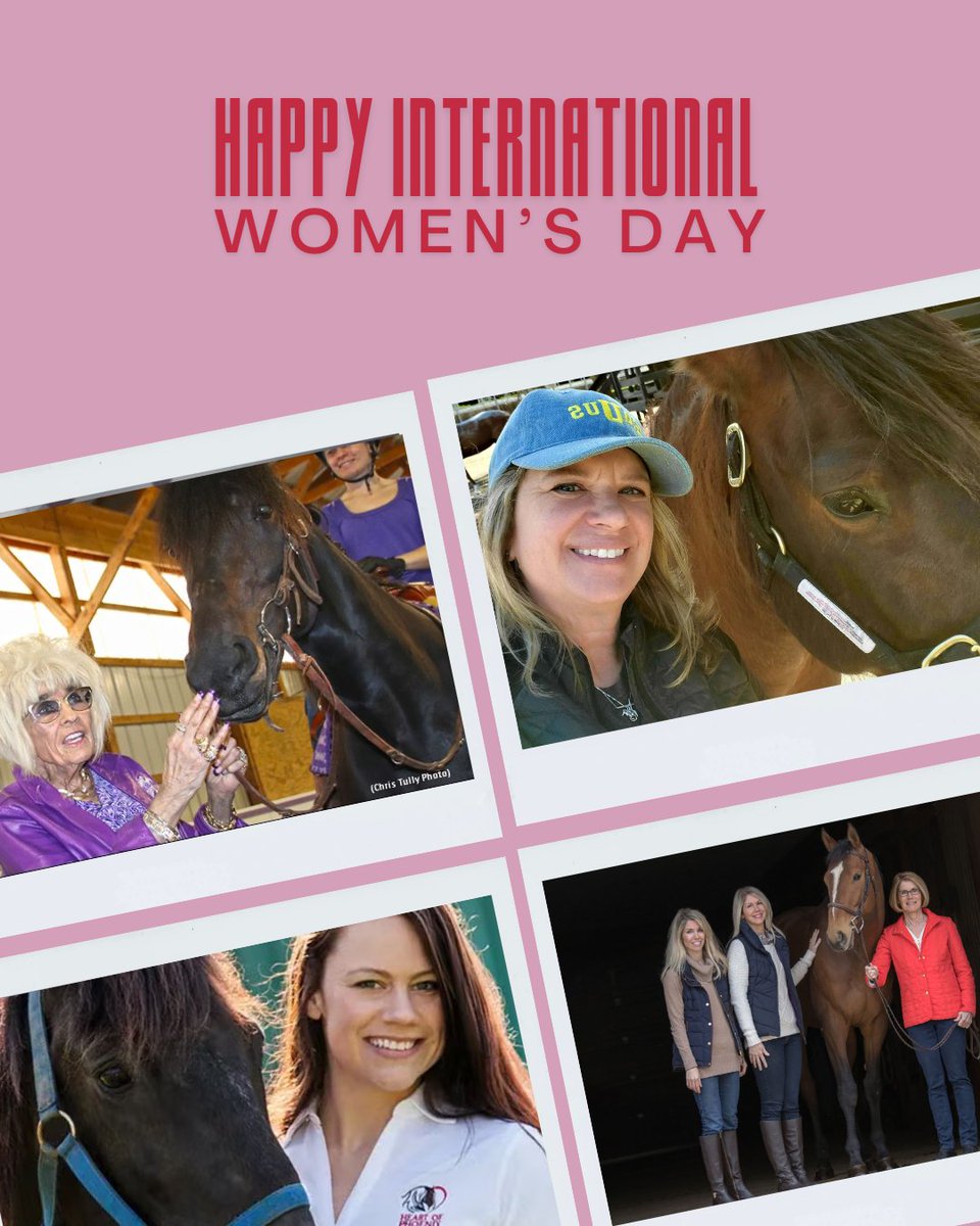 Standardbred Transition Alliance tweet media