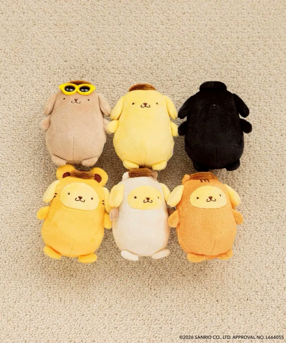 サンリオ推し活部🌈 tweet media