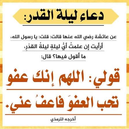 أبوجلعود tweet media