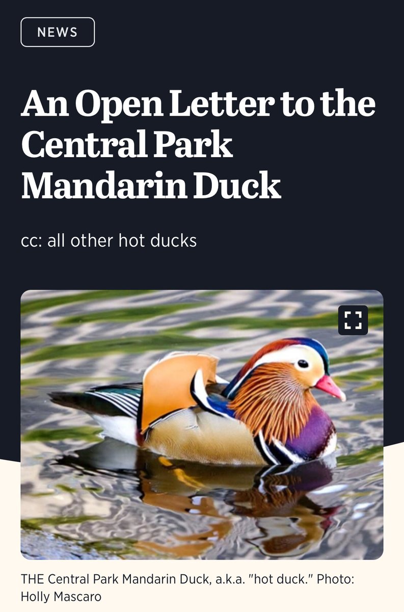 Steve Jail tweet media