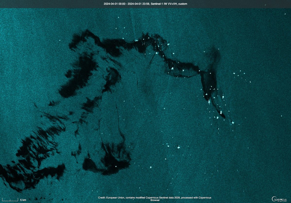 Pandita rojo 🐳 tweet media
