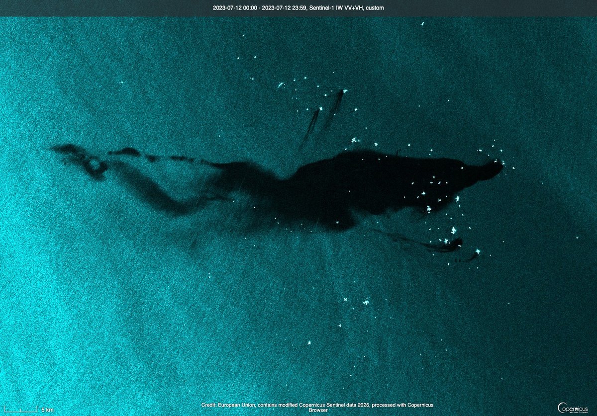 Pandita rojo 🐳 tweet media