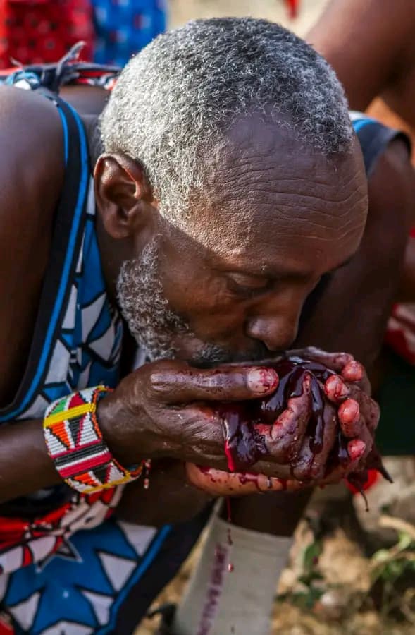 Ryankushink254's tweet photo. Maasai having a delicious meal 😋 https://t.co/bqmaEbKhuV