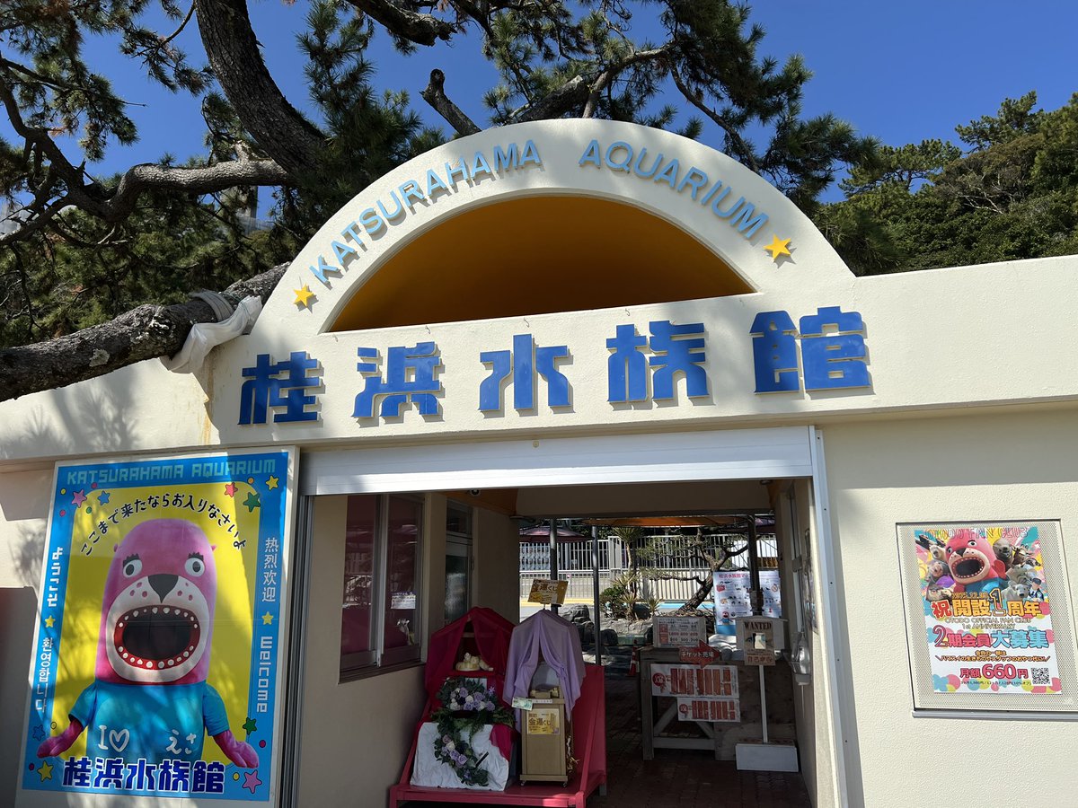 Shirake07's tweet photo. 桂浜水族館まじで面白かった…またこよ。 https://t.co/xqpLUmPLUa