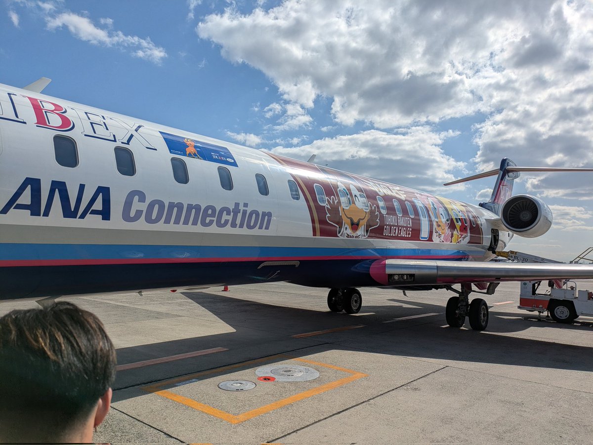 chip_7009's tweet photo. NGT,HKT,NMB劇場を巡る旅の最終日、帰りは新幹線の方が実は速いけど値段が安いんで伊丹から飛行機に。
IBEXとANAのコードシェア便で楽天イーグルスバージョンでした。 https://t.co/o4yGdq1Dhf