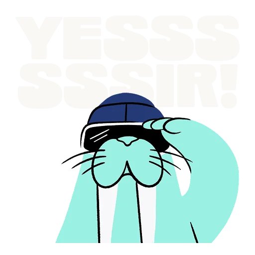 FlowX Finance 🦓 tweet media