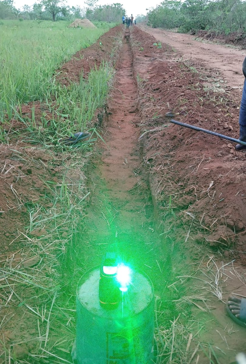 Neo Officiall tweet media