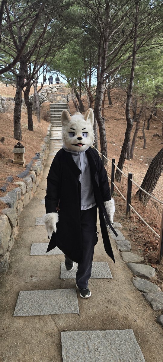 See~ ya~ 
never gone my way~ 
(대충 도깨비 등장노래😚)
#FursuitEveryday #동젹