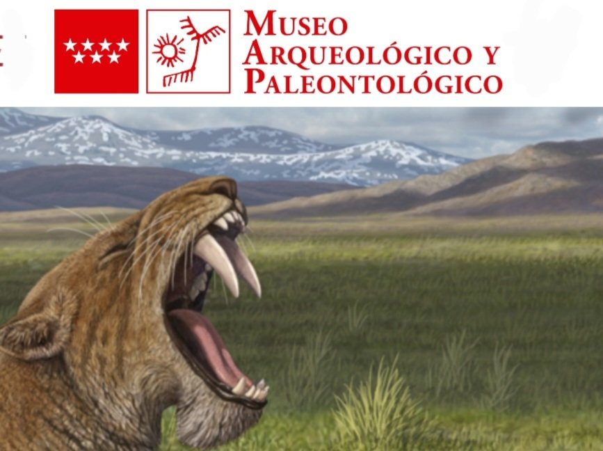 david cervera tweet media